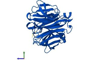 AlphaFold protein structure predicition of Human Recombinant RGN Protein, UniprotID Q15493