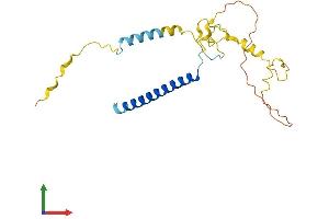 AlphaFold protein structure predicition of Human Recombinant MBD3L5 Protein, UniprotID A6NJ08