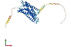 Protein Structure (PS) image for Lysophosphatidic Acid Receptor 4 (LPAR4) (AA 1-370) protein (His tag) (ABIN7558740)