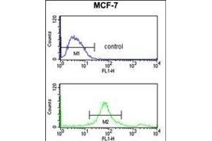 SUMO1 Antibody f flow cytometry analysis of MCF-7 cells (bottom histogram) compared to a negative control cell (top histogram). (SUMO1 抗体)