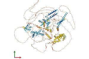 Protein Structure (PS) image for Small Nuclear RNA Activating Complex, Polypeptide 4, 190kDa (SNAPC4) (AA 1-1333) protein (His tag) (ABIN7564407)