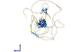 Protein Structure (PS) image for Mex-3 Homolog D (MEX3D) (AA 1-651) protein (His tag) (ABIN7549430)
