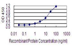 Detection limit for recombinant GST tagged IGKV1OR2-108 is 0. (IGKV1OR2-108 抗体  (AA 1-95))