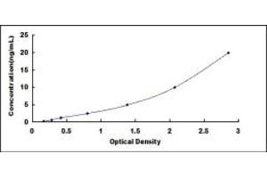 Typical standard curve (SLC1A2 ELISA 试剂盒)