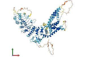 Protein Structure (PS) image for Transient Receptor Potential Cation Channel, Subfamily V, Member 2 (TRPV2) (AA 1-764) protein (His tag) (ABIN7555884)