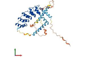 AlphaFold protein structure predicition of Human Recombinant ANKRD2 Protein, UniprotID Q9GZV1