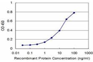 Detection limit for recombinant GST tagged MPHOSPH6 is approximately 1ng/ml as a capture antibody. (MPHOSPH6 抗体  (AA 1-160))