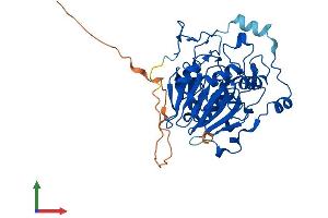 Protein Structure (PS) image for N-Acyl Phosphatidylethanolamine phospholipase D (NAPEPLD) (AA 1-393) protein (His tag) (ABIN7549625)