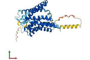 Protein Structure (PS) image for Solute Carrier Family 10 (Sodium/bile Acid Cotransporter Family), Member 1 (SLC10A1) (AA 1-349) protein (His tag) (ABIN7549929)