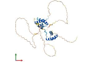 Protein Structure (PS) image for POU Domain, Class 3, Transcription Factor 4 (POU3F4) (AA 1-361) protein (His tag) (ABIN7550945)