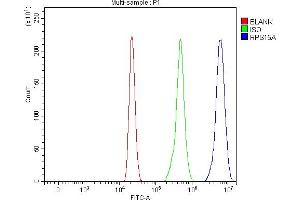 Flow Cytometry analysis of HL-60 cells using anti-RPS15A antibody (ABIN7598954).