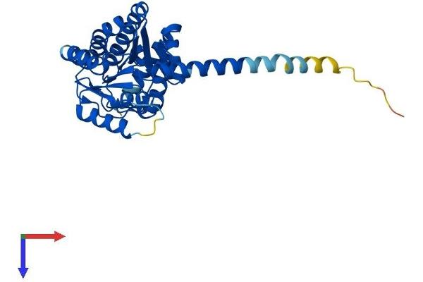 DHRS7B Protein (AA 1-325) (His tag)
