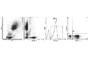 Image no. 1 for anti-CD7 (CD7) antibody (FITC) (ABIN1106542) (CD7 抗体  (FITC))