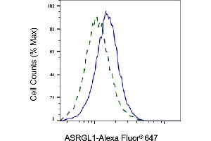 Validation of ASRGL1 knockdown using flow cytometry. (ASRGL1 抗体)