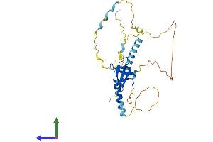 Protein Structure (PS) image for Survival of Motor Neuron 1, Telomeric (SMN1) (AA 1-288) protein (His tag) (ABIN7563565)