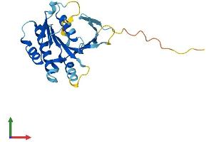 Protein Structure (PS) image for SWIM-Type Zinc Finger 7 Associated Protein 1 (SWSAP1) (AA 1-229) protein (His tag) (ABIN7544069)