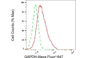 Flow cytometric analysis of GAPDH expression in HepG2 cells using GAPDH antibody (ABIN7798767), 1:2,000). (GAPDH 抗体)
