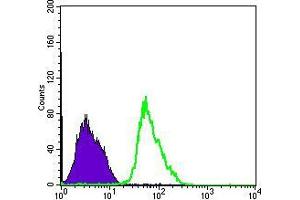 Flow cytometric analysis of PC-2 cells using PRKAA1 mouse mAb (green) and negative control (purple). (PRKAA1 抗体)