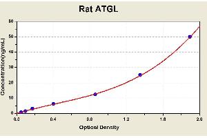 Diagramm of the ELISA kit to detect Rat ATGLwith the optical density on the x-axis and the concentration on the y-axis. (PNPLA2 ELISA 试剂盒)