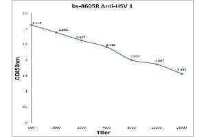 Antigen: 0. (Herpes Simplex Virus Type 1 (HSV1) 抗体)