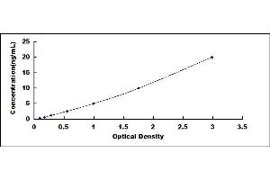 Typical standard curve