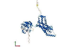 Protein Structure (PS) image for STEAP Family Member 3, Metalloreductase (STEAP3) (AA 1-488) protein (His tag) (ABIN7555652)