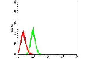 Flow cytometric analysis of HL-60 cells using CD172G mouse mAb (green) and negative control (red). (SIRPG 抗体  (AA 29-360))