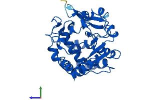 Protein Structure (PS) image for Sulfotransferase Family, Cytosolic, 1A, Phenol-Preferring, Member 1 (SULT1A1) (AA 1-291) protein (His tag) (ABIN7563421)