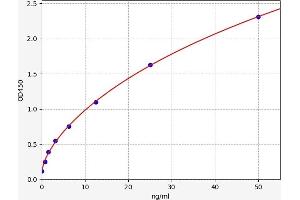 Typical standard curve (TSPO ELISA 试剂盒)