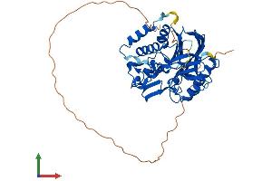 AlphaFold protein structure predicition of Mouse Recombinant Noct Protein, UniprotID O35710