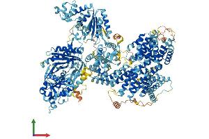 AlphaFold protein structure predicition of Mouse Recombinant Adcy10 Protein, UniprotID Q8C0T9