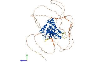 Protein Structure (PS) image for Eyes Absent Homolog 4 (EYA4) (AA 1-639) protein (His tag) (ABIN7553851)