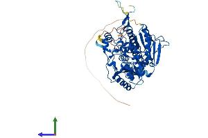 Protein Structure (PS) image for 6-phosphofructo-2-Kinase/fructose-2,6-Biphosphatase 3 (PFKFB3) (AA 1-520) protein (His tag) (ABIN7547648)