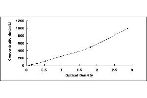 Typical standard curve (TNFRSF10B ELISA 试剂盒)