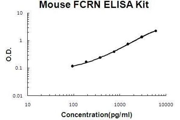 FcRn ELISA 试剂盒