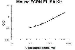 Mouse FCRN/FCGRT PicoKine ELISA Kit standard curve (FcRn ELISA 试剂盒)