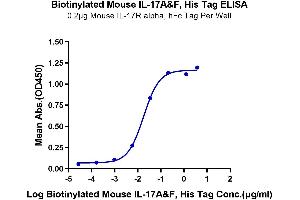 Immobilized Mouse IL-17R alpha, hFc Tag at 2 μg/mL (100 μL/well) on the plate. (IL-17A/F Protein (AA 26-158) (His-Avi Tag,Biotin))