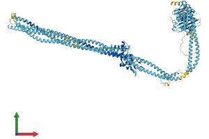 Protein Structure (PS) image for Structural Maintenance of Chromosomes 3 (SMC3) (AA 1-1217) protein (His tag) (ABIN7555554)