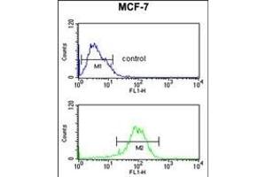 Flow Cytometry (FACS) image for anti-Nuclear Receptor Subfamily 1, Group H, Member 3 (NR1H3) (AA 226-253) antibody (ABIN653910)