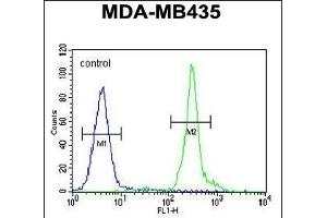 GFRAL Antibody (C-term) ABIN655021 flow cytometric analysis of MDA-M cells (right histogram) compared to a negative control (Rabbit IgG isotype) (left histogram). (GFRAL 抗体  (C-Term))