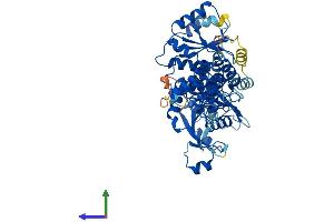 AlphaFold protein structure predicition of Human Recombinant ASPG Protein, UniprotID Q86U10