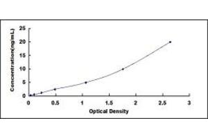 Typical standard curve (BMPR1B ELISA 试剂盒)