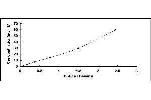 Typical standard curve (TIMP2 ELISA 试剂盒)