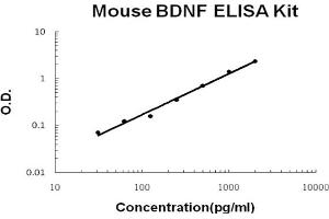 Mouse BDNF Accusignal ELISA Kit Mouse BDNF AccuSignal ELISA Kit standard curve.