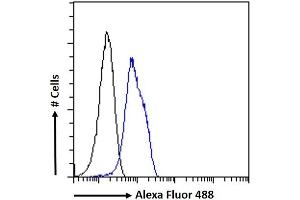 (ABIN334488) Flow cytometric analysis of paraformaldehyde fixed U2OS cells (blue line), permeabilized with 0. (SENP6 抗体  (Internal Region))
