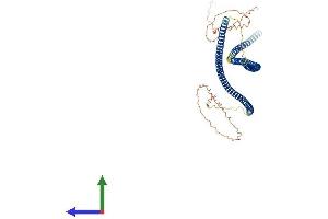 AlphaFold protein structure predicition of Mouse Recombinant Krt82 Protein, UniprotID Q99M74 (Keratin 82 Protein (KRT82) (AA 1-516) (His tag))