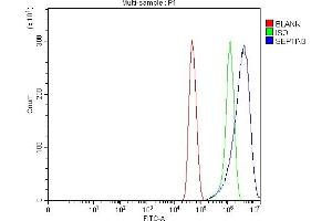 Flow Cytometry analysis of U251 cells using anti-Septin 3/SEPTIN3 antibody (ABIN7599288).