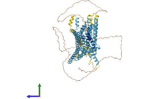 AlphaFold protein structure predicition of Mouse Recombinant Tmc2 Protein, UniprotID Q8R4P4