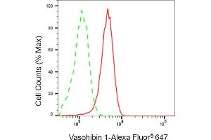 Flow cytometric analysis of Vasohibin 1 expression in HepG2 cells using Vasohibin 1 antibody (ABIN7800826), 1:2,000). (VASH1 抗体)