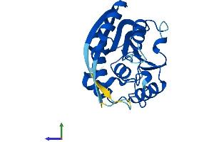 Protein Structure (PS) image for Methyltransferase Like 5 (METTL5) (AA 1-209) protein (His tag) (ABIN7549409)